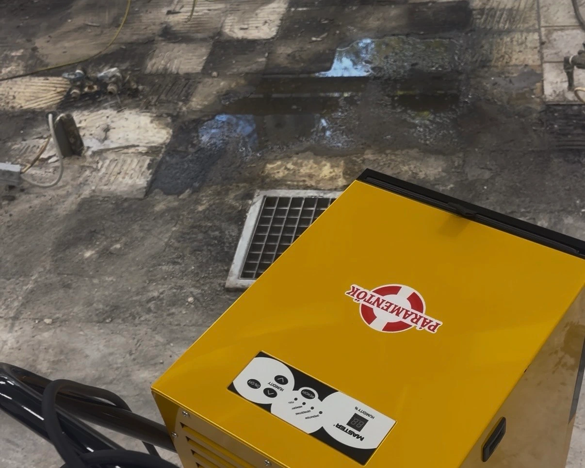 Miért nem elég a szellőztetés? – Falszárítás és ipari páramentesítő bérlés beázás után